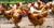 طرح توجیهی پرورش مرغ بومی تخمگذار 30هزار قطعه ای ویرایش سال 96