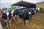 دانلود رایگان طرح توجیهی گاو شیری 20 راسی - طرح توجیهی پرورش گاو شیری +pdf
