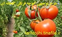 طرح توجیهی گلخانه گوجه فرنگی - طرح توجیهی گوجه فرنگی گلخانه ای به همراه فایل اصلی